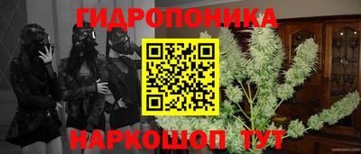 гидра Тула