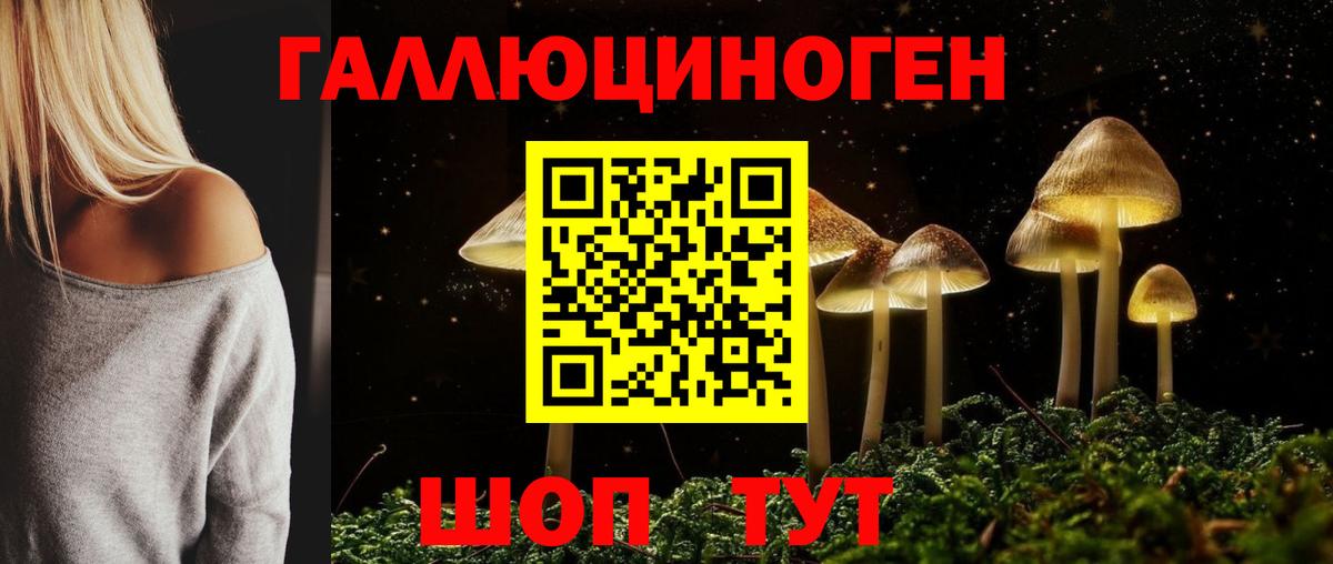 Ногинск  Псилоцибиновые грибы прущие грибы  Вход с VPN 